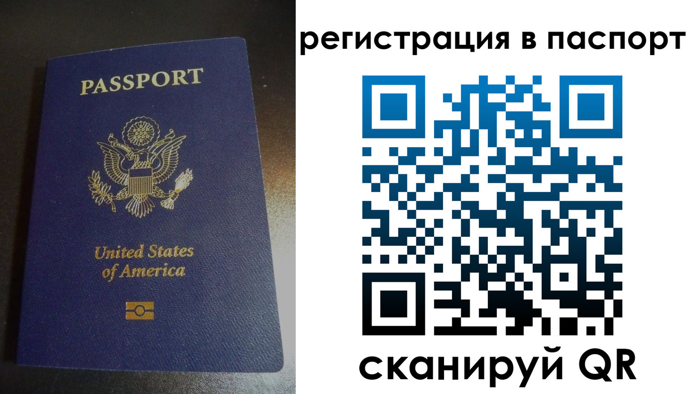 прописка для школы в Снежногорске